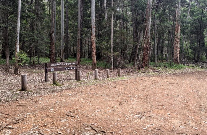Big Brook Arboretum, Australia